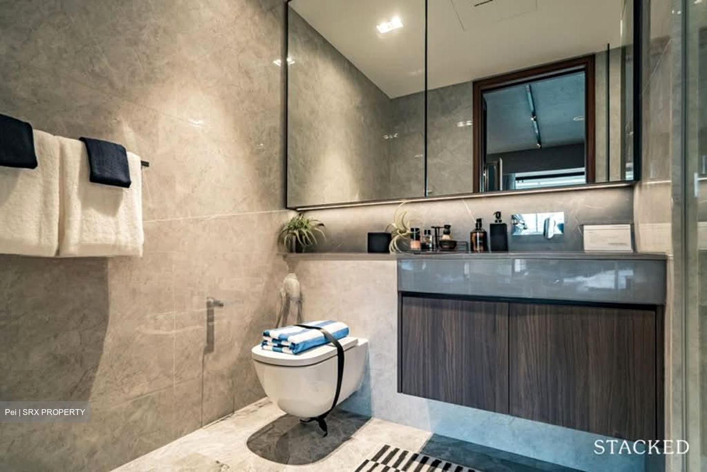 Canninghill Piers (D6), Apartment #557711481
